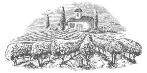 Illusztráció Rural landscape with villa, vineyard fields, DenPotisev, (40 x 22.5 cm)