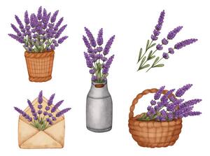 Illusztráció Set watercolor lavender bouquet in bucket,, Evgeniya Sheydt