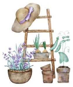 Illusztráció Beautiful lavender provence watercolor illustration, VYCHEGZHANINA, (40 x 40 cm)