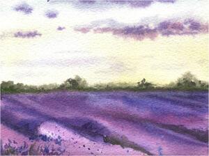 Illusztráció Watercolor lavender field, hand drawn Provencal, Elena Dorosh, (40 x 30 cm)