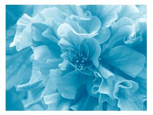 Fotótapéta - Blue azalea