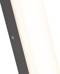 Modern téglalap alakú kültéri fali lámpa sötétszürke - Opacus