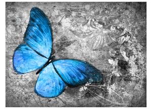 Fotótapéta - Blue butterfly