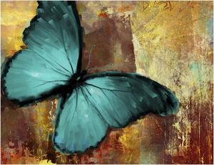 Fotótapéta - Painted butterfly