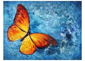 Fotótapéta - Fiery butterfly
