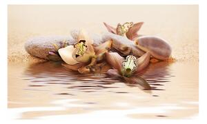 Fotótapéta - beach - water lily
