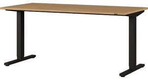 Íróasztal elektromosan állítható magassággal tölgyfa dekoros asztallappal 80x160 cm Agenda – Germania