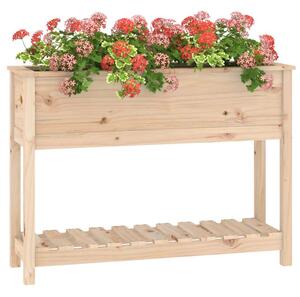 Növénytartó - Fenyőfa - Polccal - 111,5x34,5x81 cm
