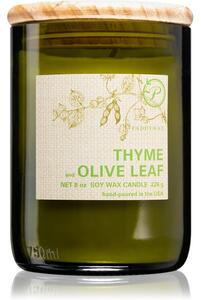 Paddywax Eco Green Thyme & Olive Leaf illatos gyertya 226 g