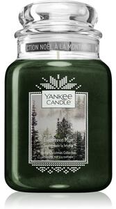 Yankee Candle Evergreen Mist illatos gyertya Classic kis méret 623 g