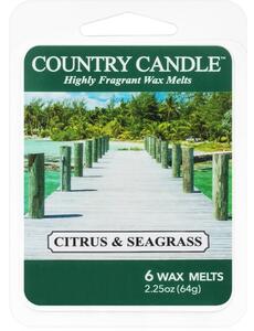 Country Candle Citrus & Seagrass illatos viasz aromalámpába 64 g