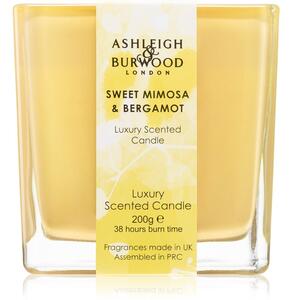 Ashleigh & Burwood London Life in Bloom Sweet Mimosa & Bergamot illatos gyertya 200 g