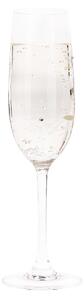 TEMPO-KONDELA SNOWFLAKE CHAMPAGNE, pezsgőspoharak, 4 db-os szett, kristályokkal, 230 ml