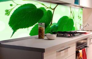 Öntapadós fotótapéta konyhába zöld levelek