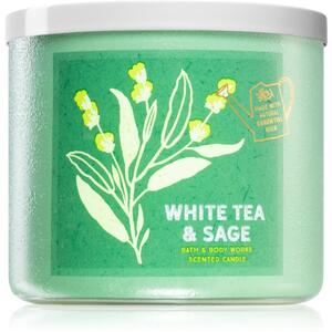 Bath & Body Works White Tea & Sage illatos gyertya 411 g
