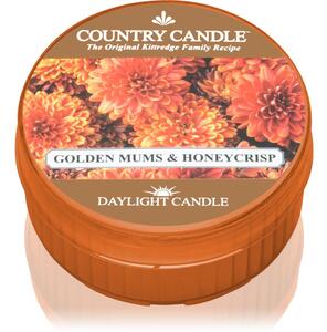 Country Candle Golden Mums & Honey Crisp teamécses 42 g