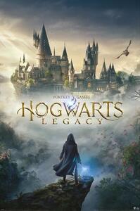 Plakát Harry Potter - Hogwarts Legacy, (61 x 91.5 cm)