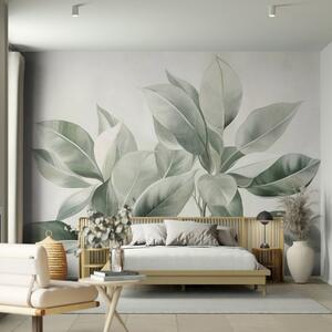 Fotótapéta Világoszöld levelek halvány, lágy háttér előtt, texturált boho stílusban, Fotótapéta egyedi, w09909 : Uwalls.hu