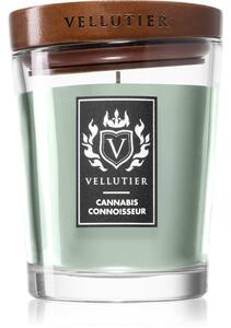 Vellutier Cannabis Connoisseur illatos gyertya 225 g