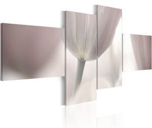 Kép - Pastel colored tulip