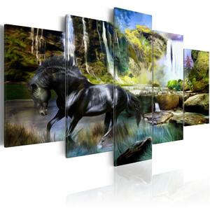 Kép - Black horse on the background of paradise waterfall
