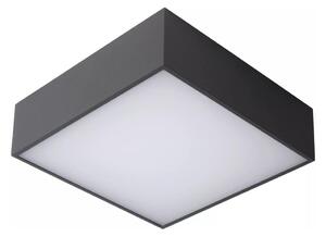 Lucide Lucide 27816/10/29 - LED Fürdőszobai mennyezeti lámpa ROXANE LED/12W/230V IP54 LC3786