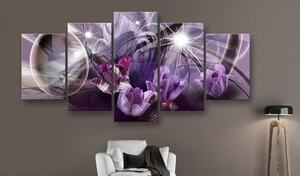 Kép - Purple of tulips