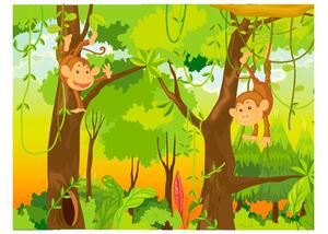 Fotótapéta - jungle - monkeys