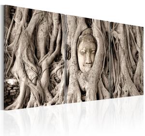Kép - Meditation's Tree