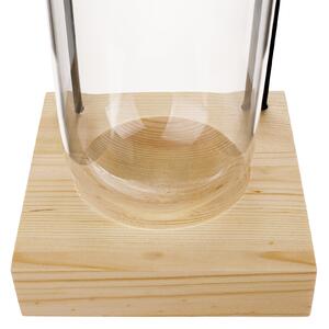 TEMPO-KONDELA HALAR, üveg tároló/üvegcse állvánnyal, üveg/bambusz, 4,4 l