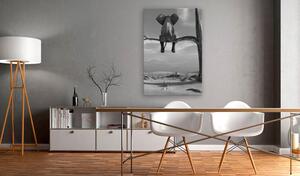 Kép - Resting Elephant