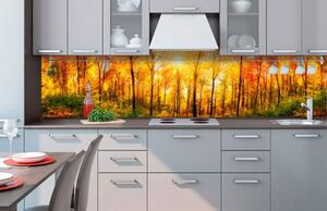 Öntapadós fotótapéta konyhába nap fényes erdő