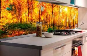 Öntapadós fotótapéta konyhába nap fényes erdő