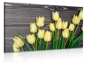 Kép sárga tulipánok fa háttéren