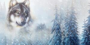 Kép farkas a téli erdőben