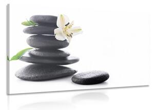 Kép Zen kő liliommal