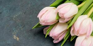 Kép pasztell rózsaszín tulipánok