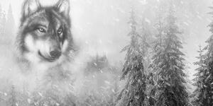 Kép farkas a hegyekben fekete fehérben