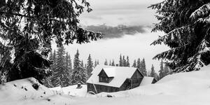 Kép faház fekete-fehér hóval borított fenyők mellett