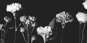 Kép elegáns virágok fekete fehérben