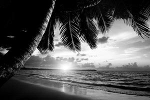 Kép napfelkelte karibi tengerparton