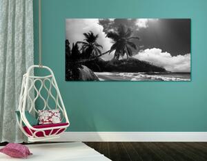 Kép gyönyörű tengerparttól a Seychelle-szigetek fekete-fehér