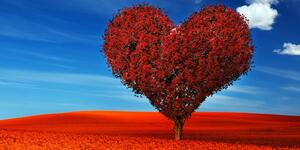 Kép gyönyörű szív alakú fa
