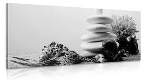 Kép Zen kövek és kagylók fekete fehér
