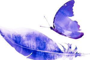 Kép toll és pillangó lila kivitelben