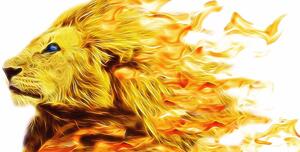 Kép tüzes oroszlán