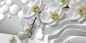 Kép orchidea absztrakt háttéren