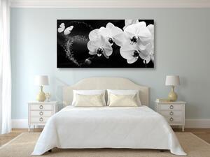 Kép lepke és orchidea fekte fehérben