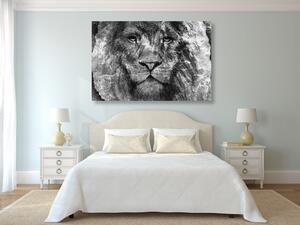 Kép oroszlán arc fekete fehérben