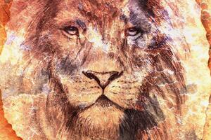 Kép oroszlán arc